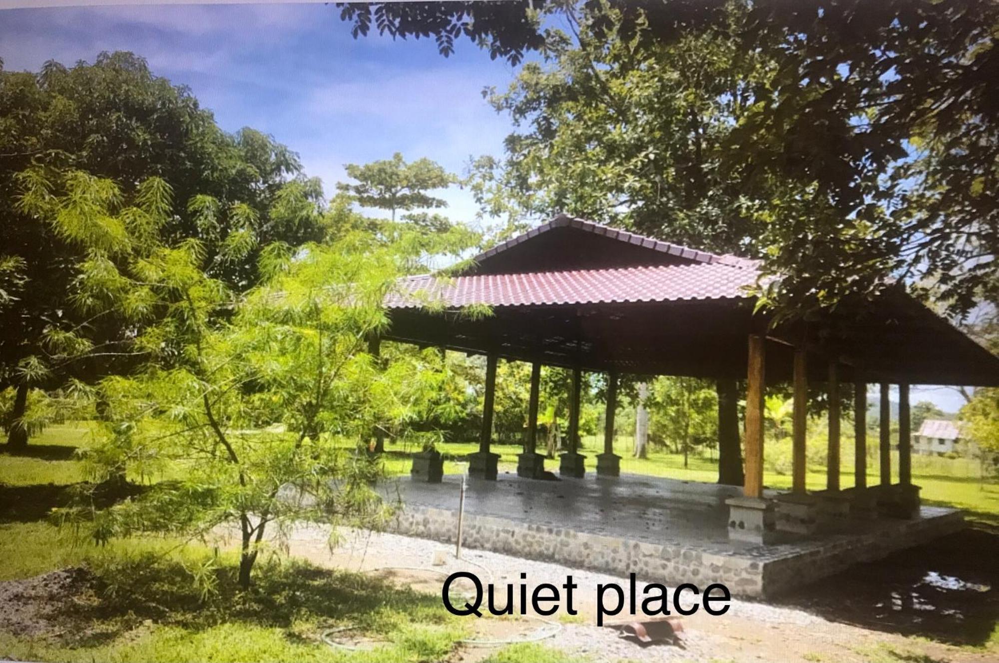 Hotelsonidosamados-Osa Sierpe ภายนอก รูปภาพ